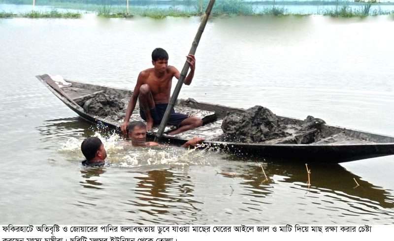 জলাবদ্ধতায় ক্ষতিগ্রস্ত চাষীরা